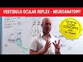 Vestibulo Ocular Reflex - Neuroanatomy