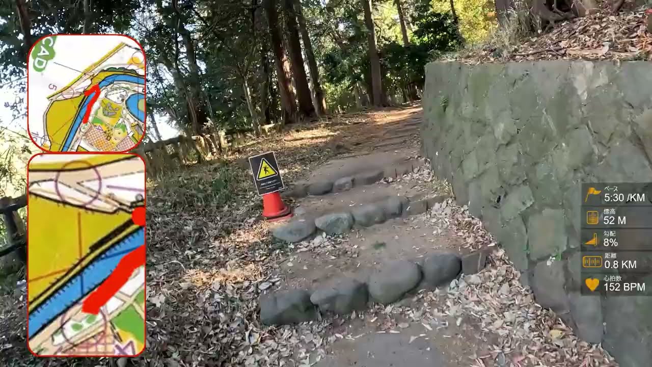 【Orienteering in Japan】#37 第36回都民スポレクふれあい大会 和田堀公園 / TOKYO SPORTS Recreation 2024 in Wadabori Park