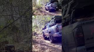 What a great day on the trail!