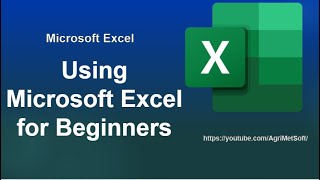 Microsoft Excel 2019 Tutorial for Beginners