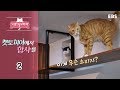 고양이를 부탁해 - 캣토피아에서 합사를_#002