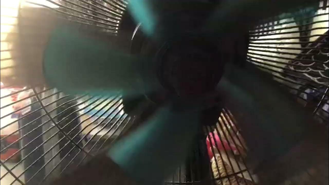 Old Europace Stand Fan ESF3407 Blades YouTube