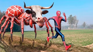 Homem Aranha E A Vaca Aranha Malvada - Filme De 1 Hora Completo Equipe Spiderman