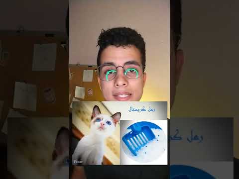 افضل نوع رمل ممكن تشتريه للقط بتاعك