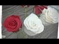 Rosas de Chocoplastilina fáciles y  económicas