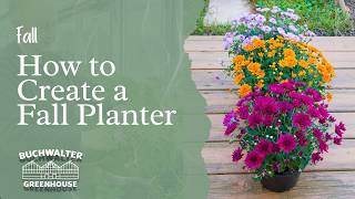 Creating a Fall Planter: 3 Annuals + 1 Mum, Easy Porch Fall Decor
