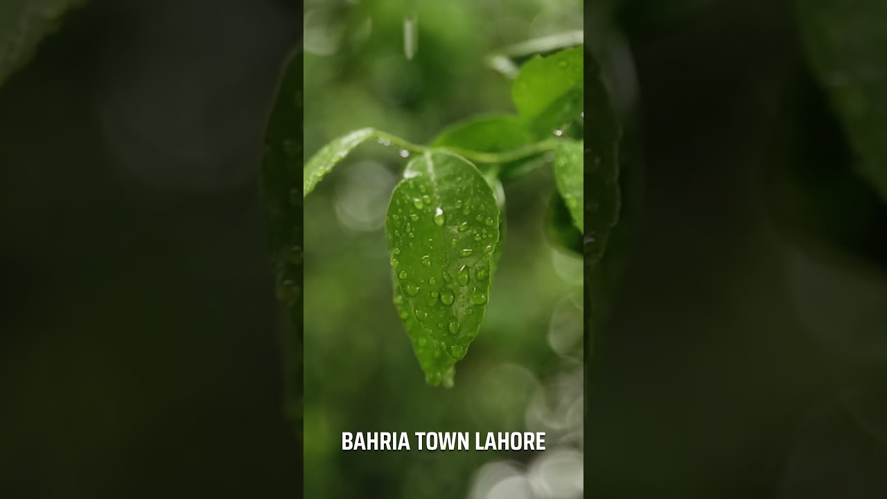 The blissful rainy season and the beauty of Bahria Town Lahore