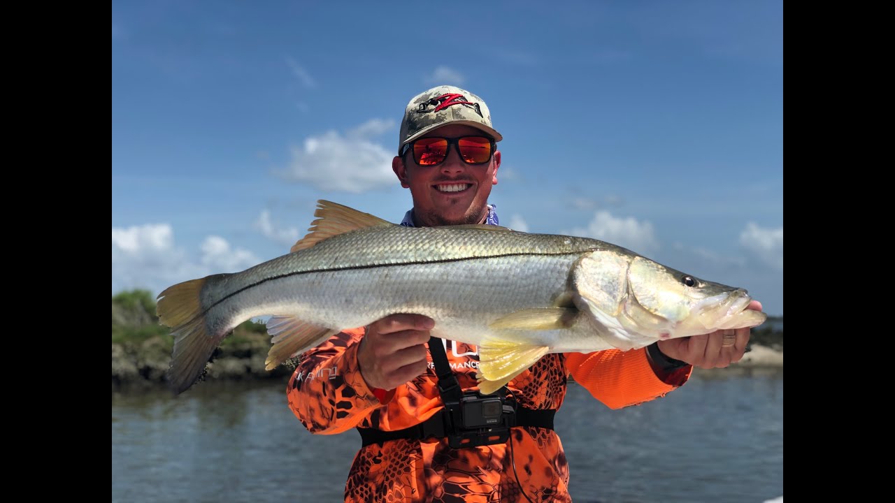 Catching Big Snook in Yankeetown!!