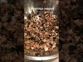 Chinese Vegan dumplings . Full recipe at Shapeup fridge. #Shorts #chefjoanna