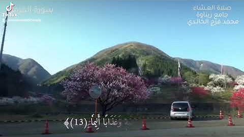 محمد فرج الخالدي سورة المزمل صلاة العشاء