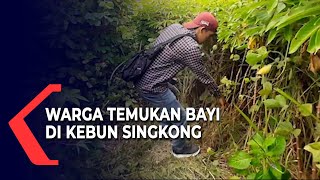 Geger, Warga Temukan Bayi di Kebun Singkong