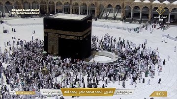 سورة إبراهيم بصوت القارئ أحمد عامر
