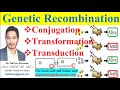 Conjugation, transformation, transduction, Genetic recombination or Sexual reproduction in Bacteria