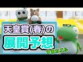 天皇賞(春）の展開予想をするカエル