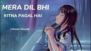 Mera Dil Bhi Kitna Pagal Hai || [Slowed  Reverb] || Lofi Songs||#youtube #love