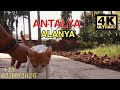 ⁴ᴷ⁵⁰ Turkey Antalya - ALANYA 2/10/2020 (PART 2)