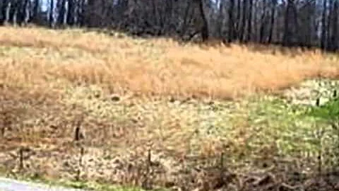 Homes for Sale - TBD Barnett Drive Elizabethton TN...