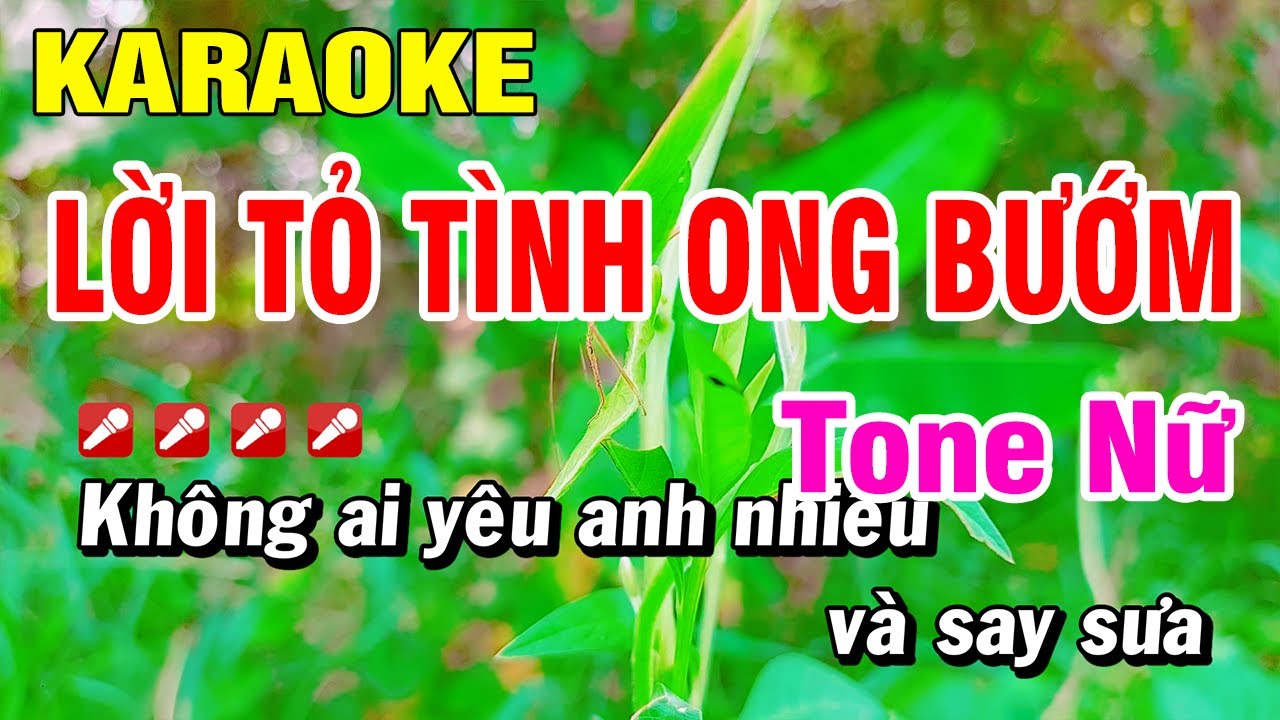 Karaoke Lời Tỏ Tình Ong Bướm - Tone Nữ Cha Cha | Hoài Phong Organ