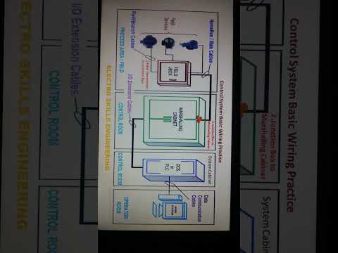 Signal Flow In