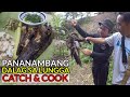 Pananambang ng Dalag sa Lungga (Dalag, Hito at Softshell Turtle) Catch & Cook - Spearfishing