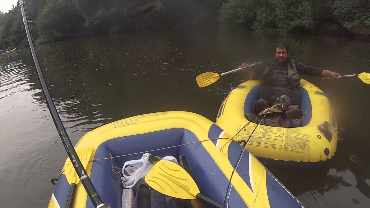 Salto de salmón king YouTube