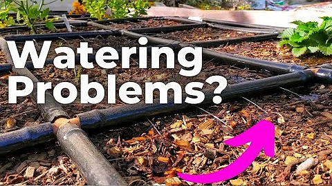 I wish I knew this before-- 1 Year with Garden Grids // Garden in Minutes