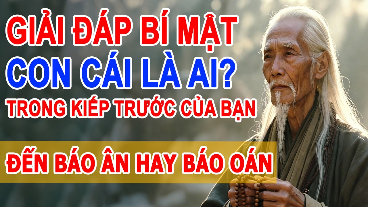 Con Cái Là Ai Trong Tiền Kiếp Của Bạn, Con Đến Với Bạn Để Làm Gì, Báo Ân Hay Báo Oán