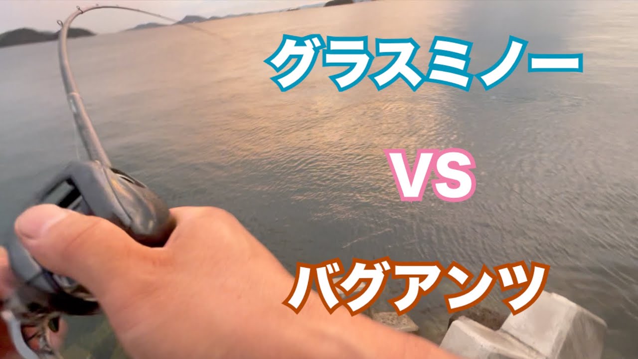 グラスミノーVSバグアンツ【アコウ】【ロックライバー5G】