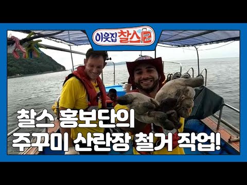 [찰스 <strong>in</strong> 섬 <strong>2부</strong>] (1/3) [이웃집 찰스] | KBS 221101 방송