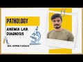 “Anemia Made Easy: How to Diagnose It Using Just Lab Tests!”| NEETPG | FMGE | Pathology