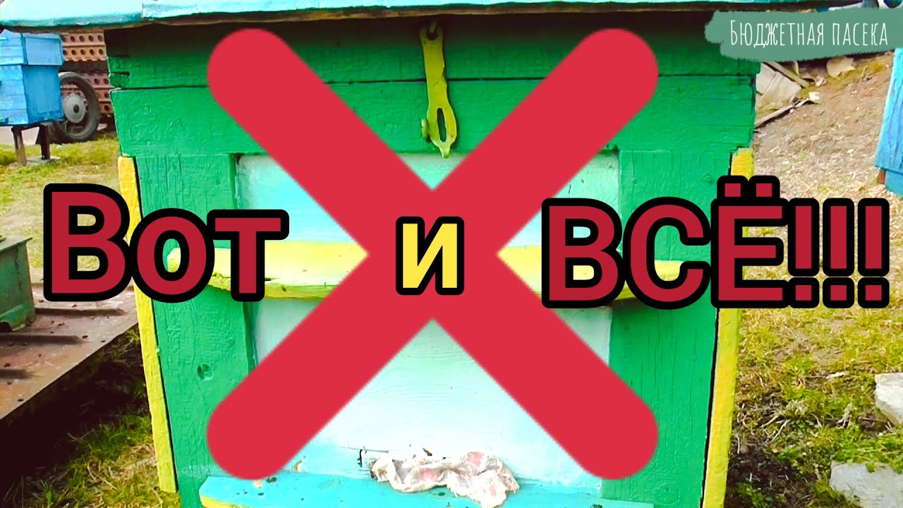 Этот улей меня огорчил! На пасеке минус пчелиная семья. - YouTube