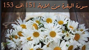 حفظ سورة البقرة من الاية 151 الى 153 بالتكرار