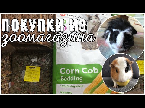 Покупки из зоомагазина