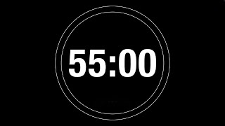 55 Minute Timer - 3300 Second Timer Countdown with progress ring (4K)