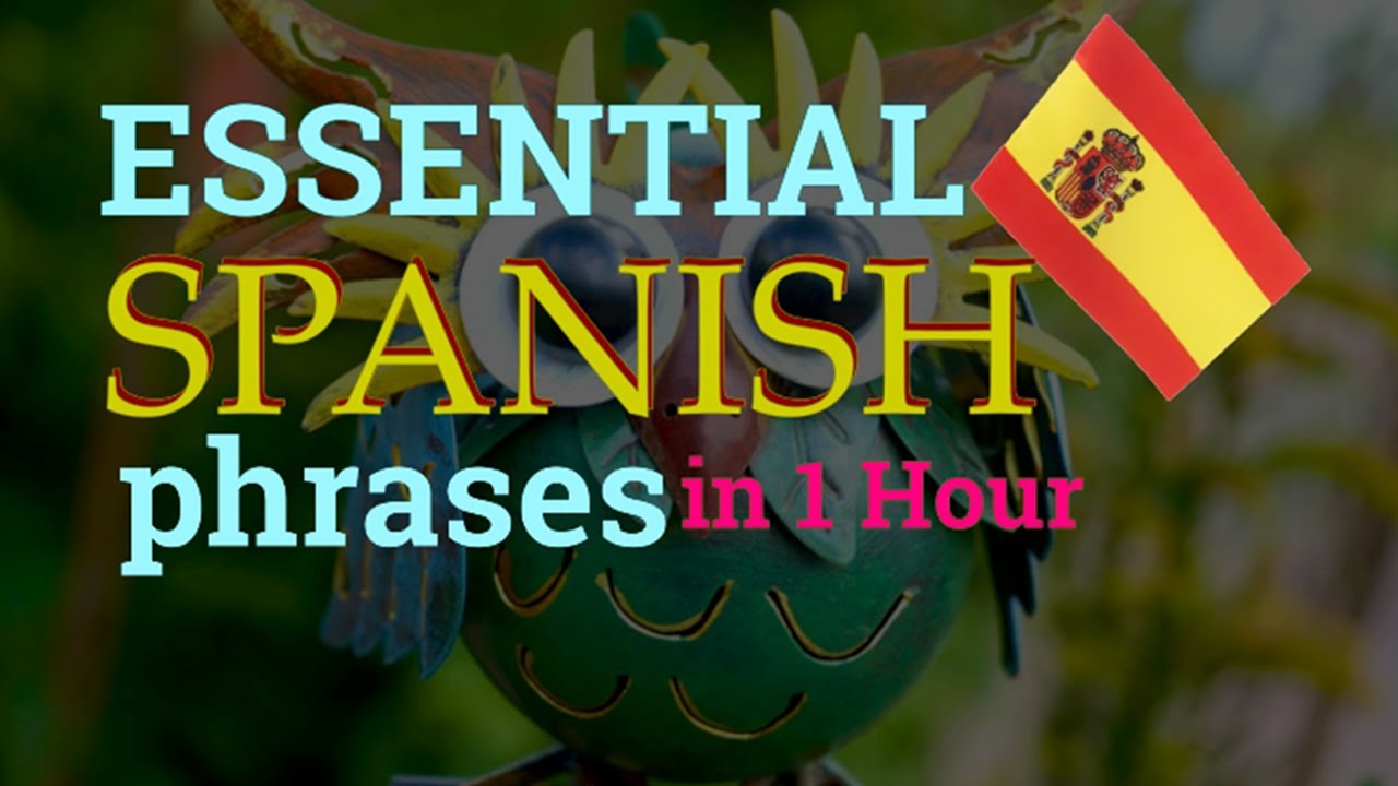 Essential Spanish to Learn in 1 HOUR | Spanish for Everyone - YouTube