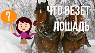 Загадка про телегу с лошадками для детей с ответом в конце Загадка про телегу с лошадками для детей с ответом в конце