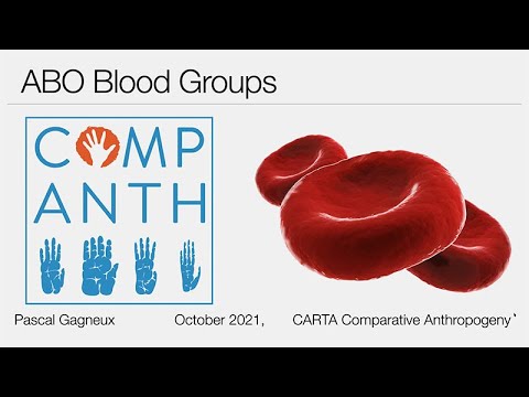 CARTA: Comparative Anthropogeny - ABO Blood Groups