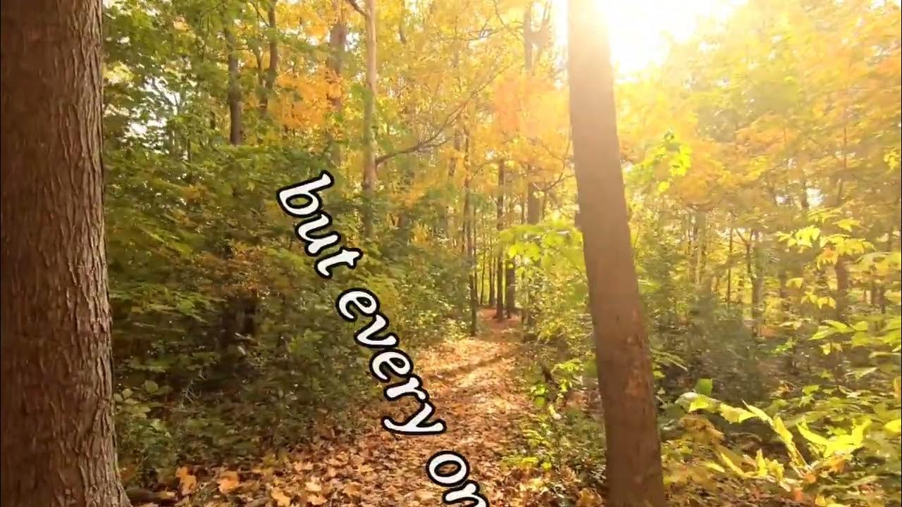 Why Is It Important To Stay Humble Why is it important to stay humble? - YouTube
