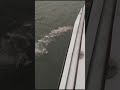Singflo 3700GPH bilge pumps work on the leisure boat