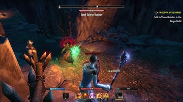 The Elder Scrolls Online: King