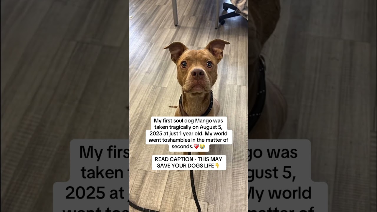 READ CAPTION 👇🏻