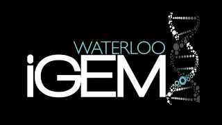 iGEM Academy Intro