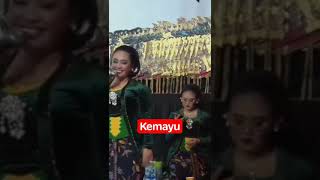 Download Lagu kemayu #wayangkulit #shortsvideo #terbaru #lucu #budaya #indonesia #tatin #limbukan #sindenviral MP3