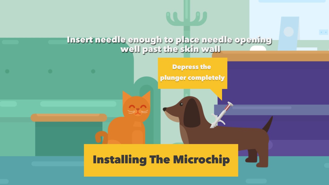 global microchip registry