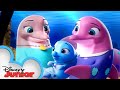 Pip and Freddy's Ocean Adventure 🌊 | T.O.T.S. | Disney Junior