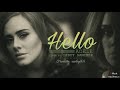 Lyrics - Vietsub || Adele - Hello {Cover by Leroy Sanchez}