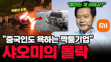 "중국인도 손절했다" 짝퉁 전기차가 무너뜨린 