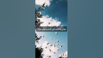 ﴿واصبر على ما يقولون واهجرهم هجرا جميلا﴾ [المزمل: ١٠] للقارئ عمر ضياء الدين