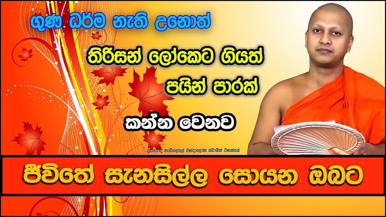 ජීවිතේ සැනසිල්ල සොයන ඔබ ධර්මය ඇසුරු කරන්න | Hadigalle Chandaloka Thero | bana 2025