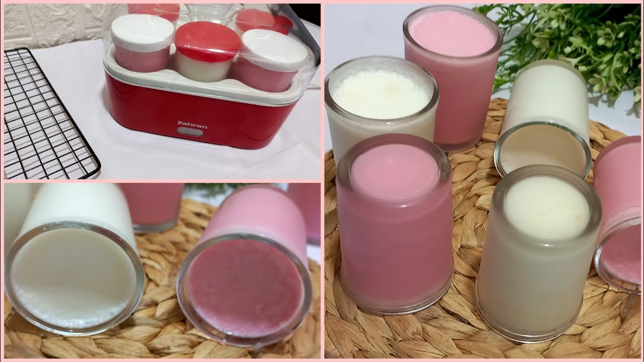 طريقة عمل الزبادي بالبيت  / وريفيو عن ماكينة الزبادي زهران